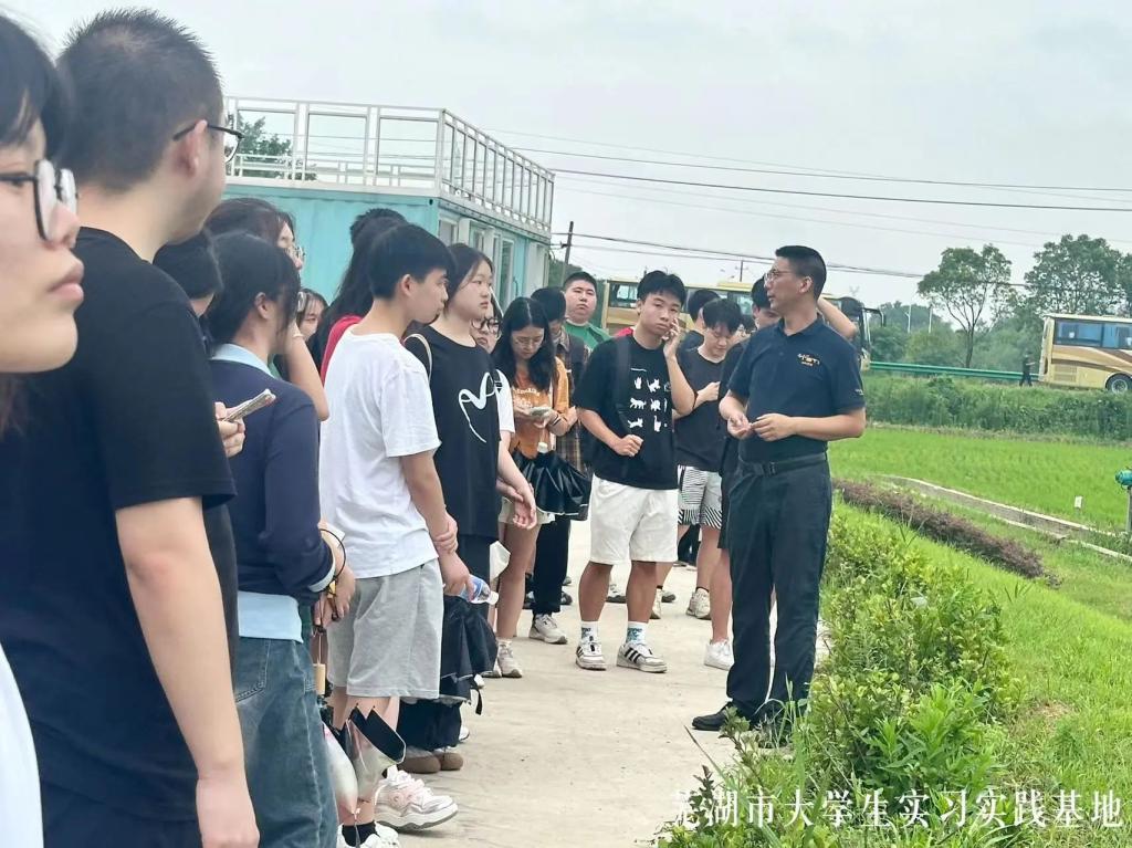 MK体育官网