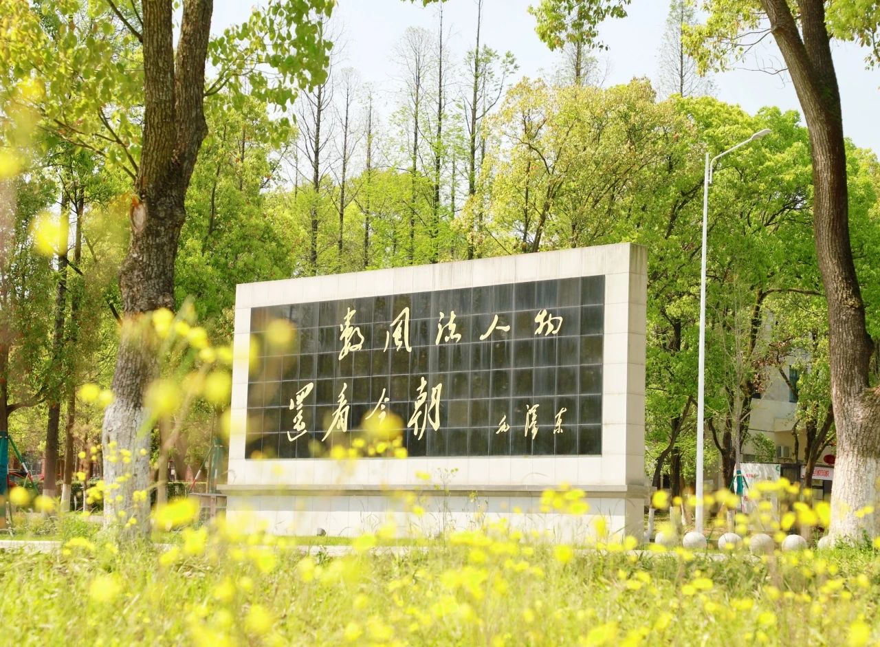 MK体育官网
