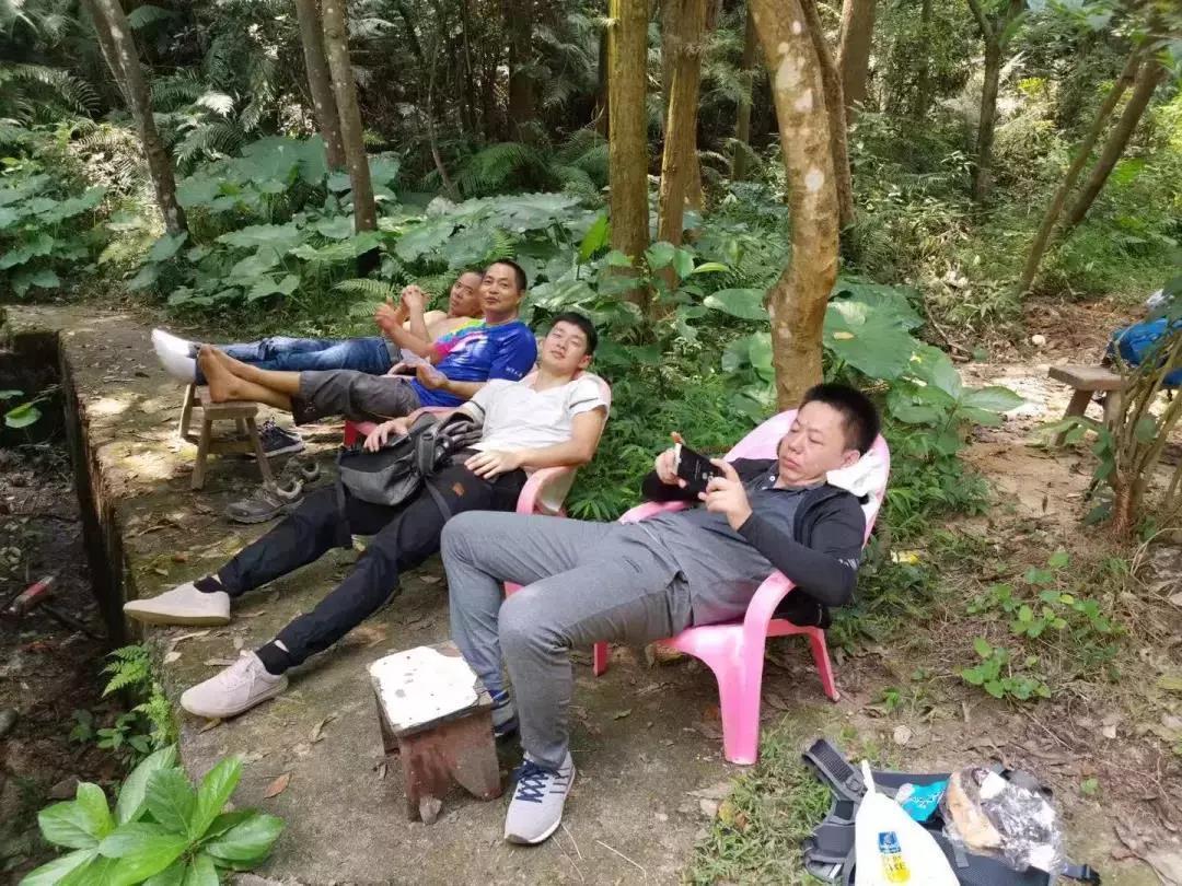MK体育官网