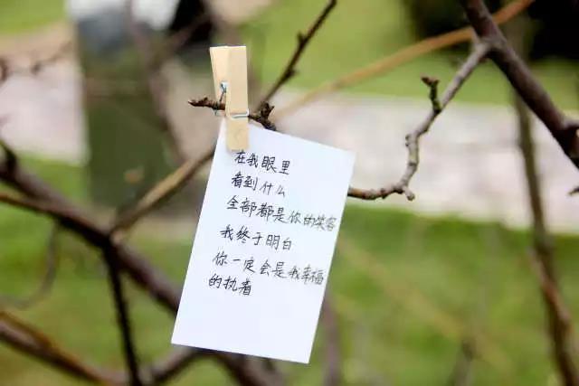 MK体育官网