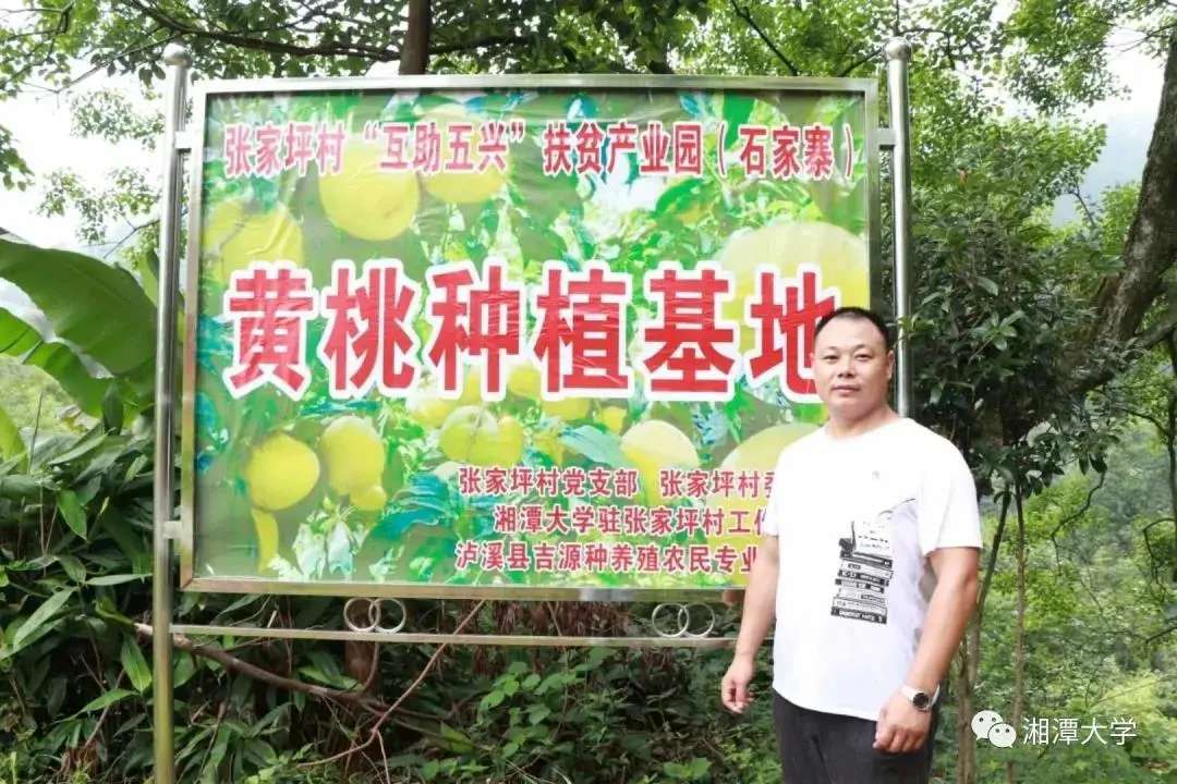 MK体育官网