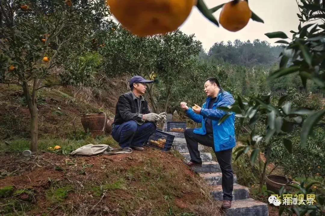 MK体育官网