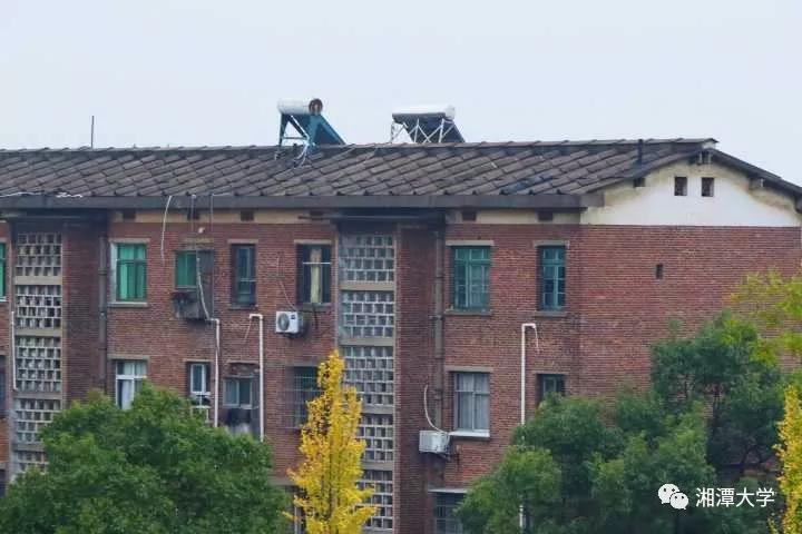 MK体育官网