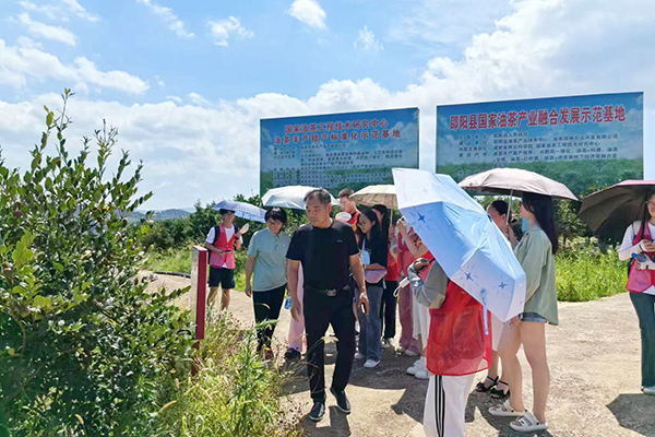 MK体育官网